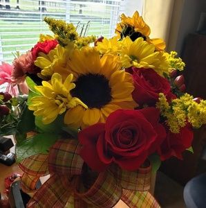 Meet your Posher, Libby